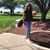 Veronica Huacuz Holloway's profile image