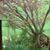 Pamela Secrest's profile image
