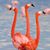 Penny Heinz Fischer's profile image