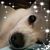 Lucille Hand's profile image