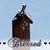 Mary Ann Clay's profile image