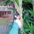 Hồ Hải Quỳnh's profile image