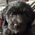 Alan Mann's profile image