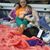 Caroline Holtel's profile image