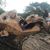 Rebecca Vincens's profile image