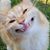 Steven VanScoy's profile image