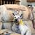 Robin Nordman's profile image