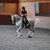 Annika Mertel's profile image