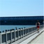 Linda Smoot's profile image