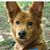 Candace McGuire Starkey's profile image