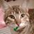 Ana S Ramos's profile image