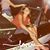 Sue Rice's profile image