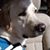 Lauri Swann Hunt's profile image