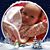Donna Schaller Gustafson's profile image