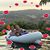 Kristin Hass's profile image