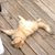 Frear Hook's profile image