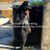 Antoine Izell Singletary's profile image