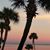 Janice Steede's profile image