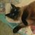 Sandy Wood Shaw's profile image