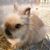 Christine Porter Tarrant's profile image