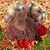 June Sholes Helsley's profile image