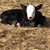 Sherri Oldham's profile image