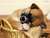 candy j.'s profile image
