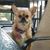 Traci R Garrison's profile image