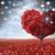 Andrea Brais's profile image