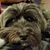 Debbie Lutes Copeman's profile image