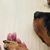 Shazia Afgan Clark's profile image