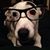 Quinn Reid's profile image