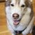 Tammy Stepp Stephens's profile image