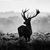 Youssef Benjamaa's profile image