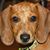 Jim Haffemann's profile image