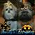 Janie Rod McCready's profile image