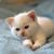 Mary Ayers's profile image