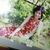 Thuy Nguyen's profile image