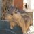 Cindy Harris's profile image
