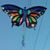 Gloria Skinner's profile image