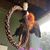 Nick Duin's profile image