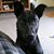 Kim Brewster's profile image