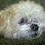 Linda Adams's profile image