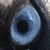 Dan Stearns's profile image