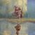 Sue McAleer Omerzo's profile image