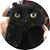 Christine Schneider's profile image