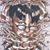 Joel Yager's profile image