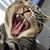 Tina Sulewski's profile image
