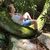 Beth Ervin Bilous's profile image
