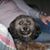 Christa Drumwright's profile image